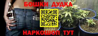 прущие грибы Конаково