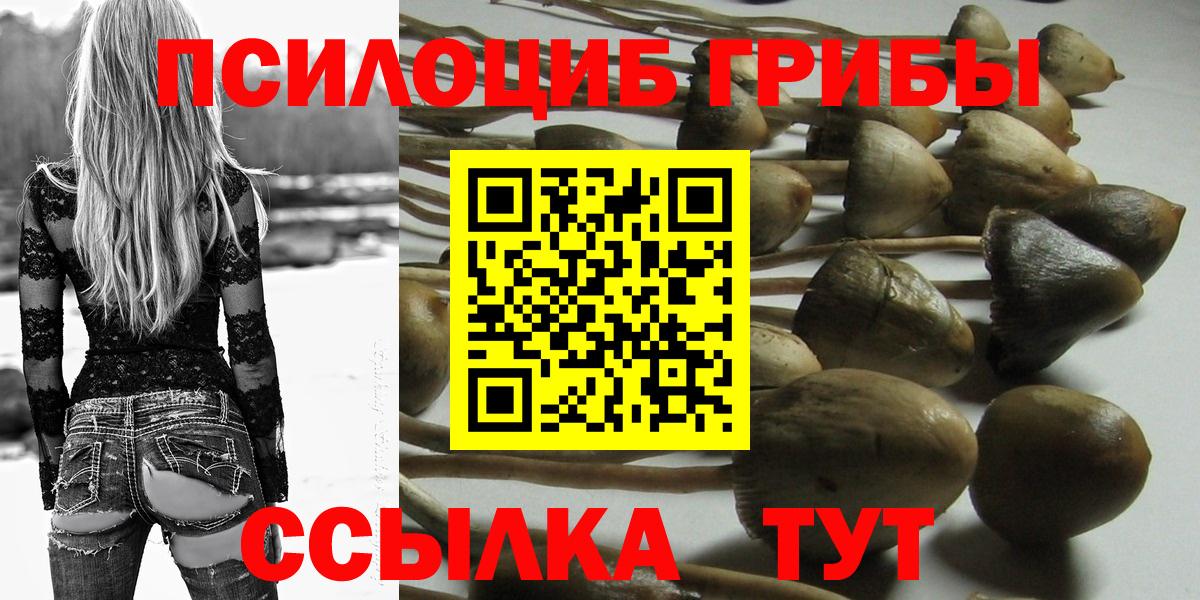 Галлюциногенные грибы мицелий  Псилоцибиновые грибы Psilocybe  Комсомольск-на-Амуре  Вход с VPN 