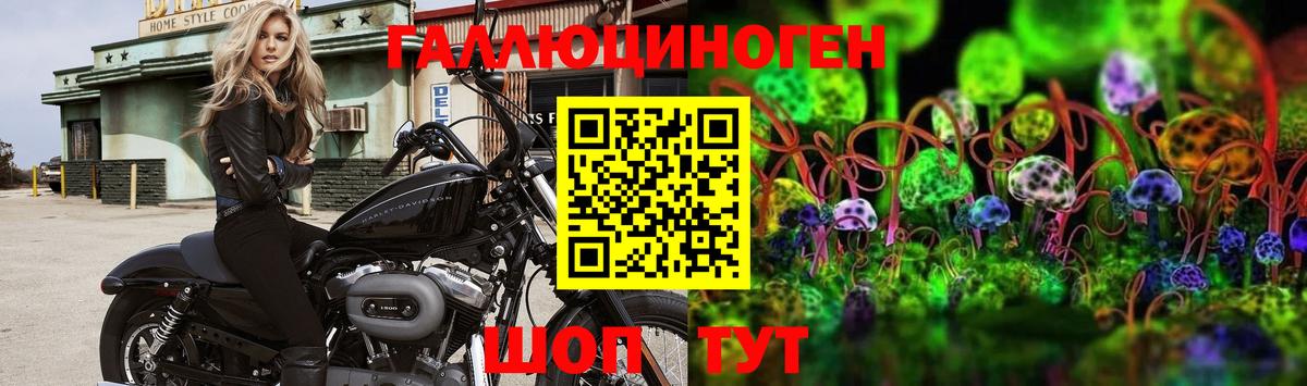 Псилоцибиновые грибы MAGIC MUSHROOMS Комсомольск-на-Амуре